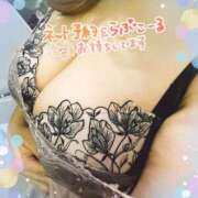 ヒメ日記 2025/08/16 11:16 投稿 なみ 宮城大崎古川ちゃんこ