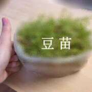 ヒメ日記 2025/04/11 14:35 投稿 里美(さとみ) エクレア上野御徒町　天然貴姉乳舐手淫店