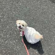 ヒメ日記 2025/05/15 15:04 投稿 いちか【「S」ディプロマ保持者】 たっぷりHoneyoilSPA福岡中洲店