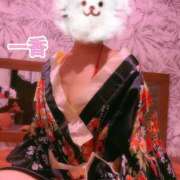 ヒメ日記 2025/07/11 19:14 投稿 いちか【「S」ディプロマ保持者】 たっぷりHoneyoilSPA福岡中洲店