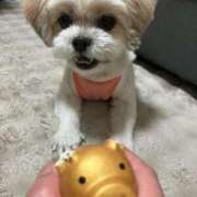 ヒメ日記 2025/08/15 22:04 投稿 いちか【「S」ディプロマ保持者】 たっぷりHoneyoilSPA福岡中洲店