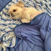 ヒメ日記 2025/08/22 12:05 投稿 いちか【「S」ディプロマ保持者】 たっぷりHoneyoilSPA福岡中洲店