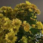 ヒメ日記 2024/12/19 18:23 投稿 えま 横浜しこたまクリニック