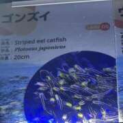 ヒメ日記 2025/03/11 13:13 投稿 えま 横浜しこたまクリニック