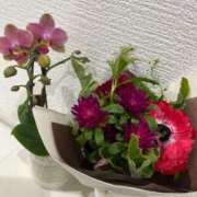 ヒメ日記 2025/03/06 21:01 投稿 山岡鈴蘭 ローテンブルク