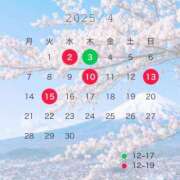 ヒメ日記 2025/03/29 11:21 投稿 山岡鈴蘭 ローテンブルク