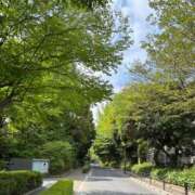 ヒメ日記 2025/04/22 17:46 投稿 山岡鈴蘭 ローテンブルク