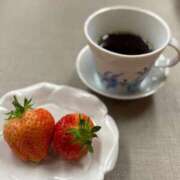 ヒメ日記 2025/04/24 11:08 投稿 山岡鈴蘭 ローテンブルク