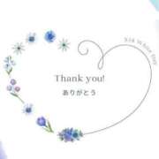 ヒメ日記 2025/06/17 22:47 投稿 山岡鈴蘭 ローテンブルク