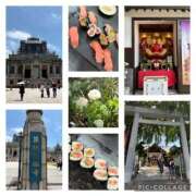 ヒメ日記 2025/07/14 18:30 投稿 山岡鈴蘭 ローテンブルク