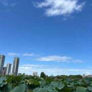 ヒメ日記 2025/09/22 06:45 投稿 山岡鈴蘭 ローテンブルク