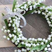 ヒメ日記 2025/09/23 21:45 投稿 山岡鈴蘭 ローテンブルク