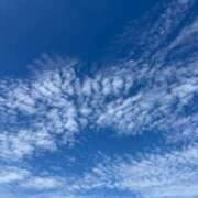 ヒメ日記 2025/09/26 07:00 投稿 山岡鈴蘭 ローテンブルク