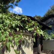 ヒメ日記 2025/09/27 07:15 投稿 山岡鈴蘭 ローテンブルク