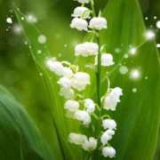 ヒメ日記 2025/09/28 13:07 投稿 山岡鈴蘭 ローテンブルク