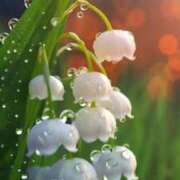 ヒメ日記 2025/10/04 07:00 投稿 山岡鈴蘭 ローテンブルク