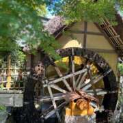 ヒメ日記 2025/10/06 07:22 投稿 山岡鈴蘭 ローテンブルク