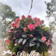 ヒメ日記 2025/10/21 09:30 投稿 山岡鈴蘭 ローテンブルク