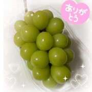 ヒメ日記 2025/10/24 08:01 投稿 山岡鈴蘭 ローテンブルク