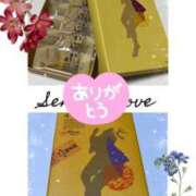 ヒメ日記 2025/10/28 23:16 投稿 山岡鈴蘭 ローテンブルク