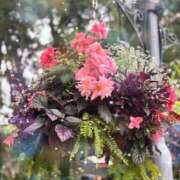 ヒメ日記 2025/10/31 07:31 投稿 山岡鈴蘭 ローテンブルク