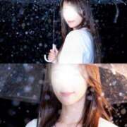 ヒメ日記 2025/12/01 08:23 投稿 山岡鈴蘭 ローテンブルク