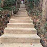 ヒメ日記 2025/12/03 14:01 投稿 山岡鈴蘭 ローテンブルク