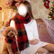 ヒメ日記 2025/12/16 09:37 投稿 山岡鈴蘭 ローテンブルク