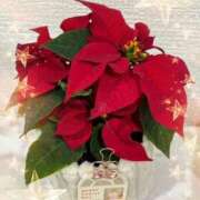 山岡鈴蘭 感謝 ローテンブルク