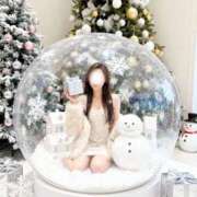 ヒメ日記 2025/12/31 21:20 投稿 山岡鈴蘭 ローテンブルク