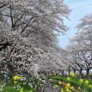 ヒメ日記 2025/04/09 12:32 投稿 安西ふうか 大人のエッチなエステ