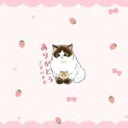 ヒメ日記 2025/04/17 22:14 投稿 天宮 りぼん アリス女学院 日本橋校