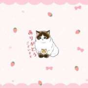 ヒメ日記 2025/04/29 20:34 投稿 天宮 りぼん アリス女学院 日本橋校