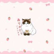 ヒメ日記 2025/06/15 21:34 投稿 天宮 りぼん アリス女学院 日本橋校