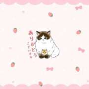 ヒメ日記 2025/11/27 22:42 投稿 天宮 りぼん アリス女学院 日本橋校