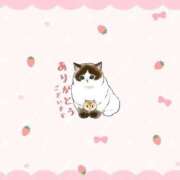 ヒメ日記 2025/12/23 18:20 投稿 天宮 りぼん アリス女学院 日本橋校