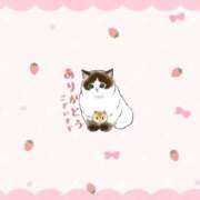 ヒメ日記 2026/03/07 23:49 投稿 天宮 りぼん アリス女学院 日本橋校