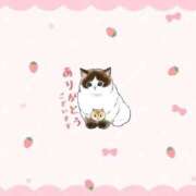 ヒメ日記 2026/03/15 17:51 投稿 天宮 りぼん アリス女学院 日本橋校