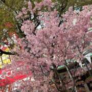 ヒメ日記 2026/03/10 08:06 投稿 あのん 尼妻（あまづま）