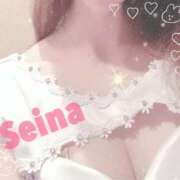 ヒメ日記 2025/03/29 17:31 投稿 西野 星南 超LEXUS