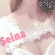 ヒメ日記 2025/12/28 11:41 投稿 西野 星南 超LEXUS