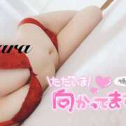 ヒメ日記 2024/12/15 18:00 投稿 うらら 奥鉄オクテツ東京店（デリヘル市場）