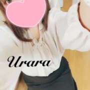 ヒメ日記 2025/01/04 11:30 投稿 うらら 奥鉄オクテツ東京店（デリヘル市場）