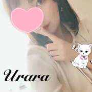 ヒメ日記 2025/01/14 08:00 投稿 うらら 奥鉄オクテツ東京店（デリヘル市場）