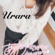 ヒメ日記 2025/01/17 20:30 投稿 うらら 奥鉄オクテツ東京店（デリヘル市場）