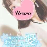 ヒメ日記 2025/01/26 09:30 投稿 うらら 奥鉄オクテツ東京店（デリヘル市場）