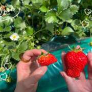 ヒメ日記 2025/03/03 18:00 投稿 うらら 奥鉄オクテツ東京店（デリヘル市場）