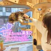 ヒメ日記 2025/03/13 08:00 投稿 うらら 奥鉄オクテツ東京店（デリヘル市場）