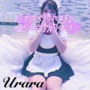 ヒメ日記 2025/03/19 08:00 投稿 うらら 奥鉄オクテツ東京店（デリヘル市場）