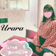 ヒメ日記 2025/03/19 16:30 投稿 うらら 奥鉄オクテツ東京店（デリヘル市場）